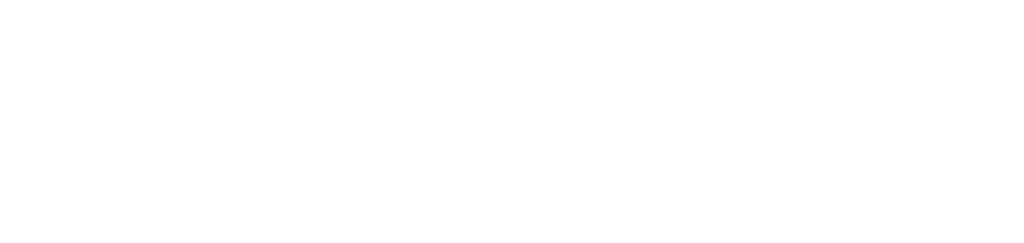 Partnerlogo - Fröhling